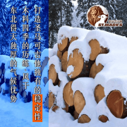 双十一吉他攻略·国表里吉他保举·新手初学者吉
